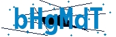 recaptcha