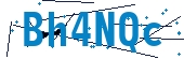 recaptcha