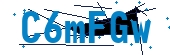 recaptcha