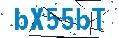 recaptcha