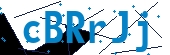 recaptcha